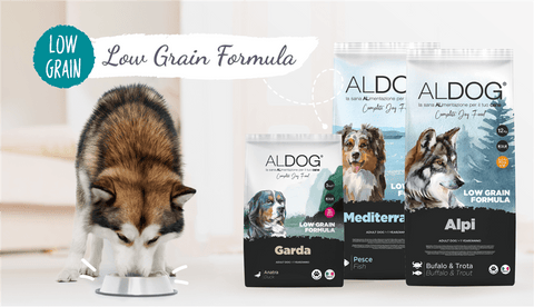 Crocchette per cani celiaci: scopri la nuova linea Aldog®