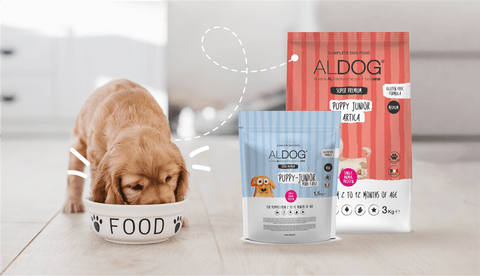 Alimentazione del cane cucciolo: consigli per la dieta