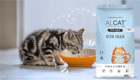 Alimentazione del gatto cucciolo: cosa deve mangiare dai due mesi in poi?