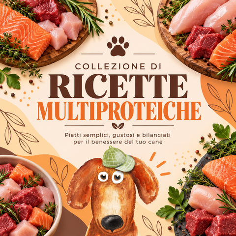 Dieta multiproteica cane