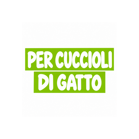 Ricette per gattini cuccioli