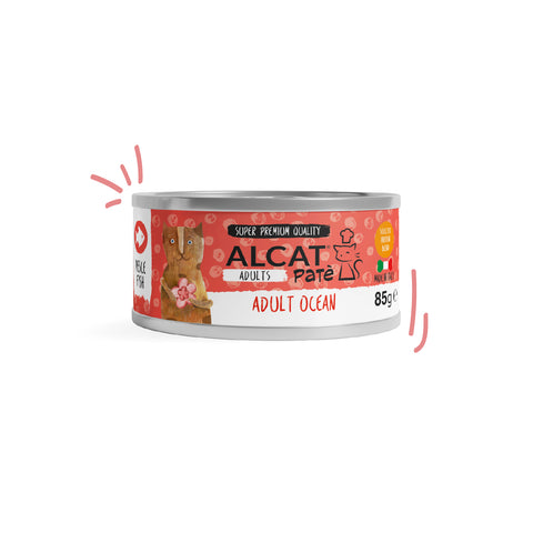 PATE ALCAT ADULT OCEAN