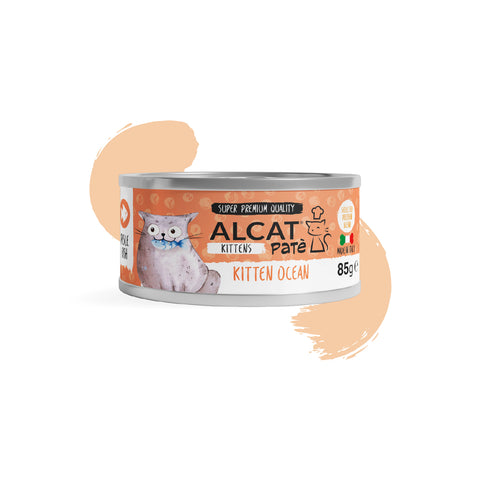 PATE ALCAT KITTEN OCEAN